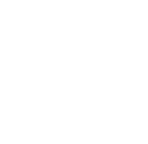 Zoomlion Nigeria Logo